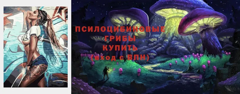 Галлюциногенные грибы Psilocybe  Почеп 